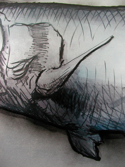 P9194509