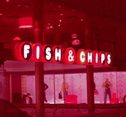 fish2